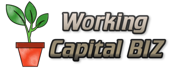 Working Capital Biz